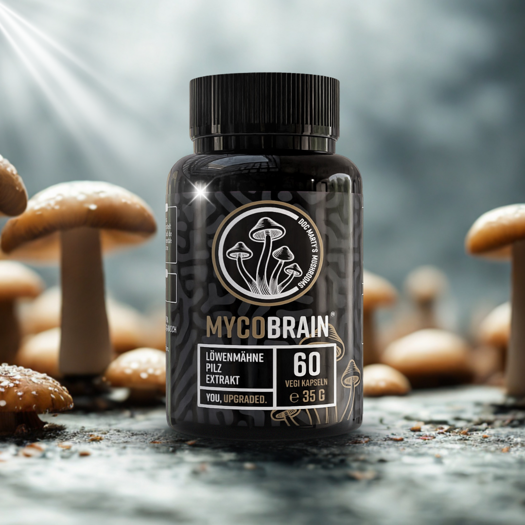 Hericium Erinaceus Löwenmähne Pilz Extract